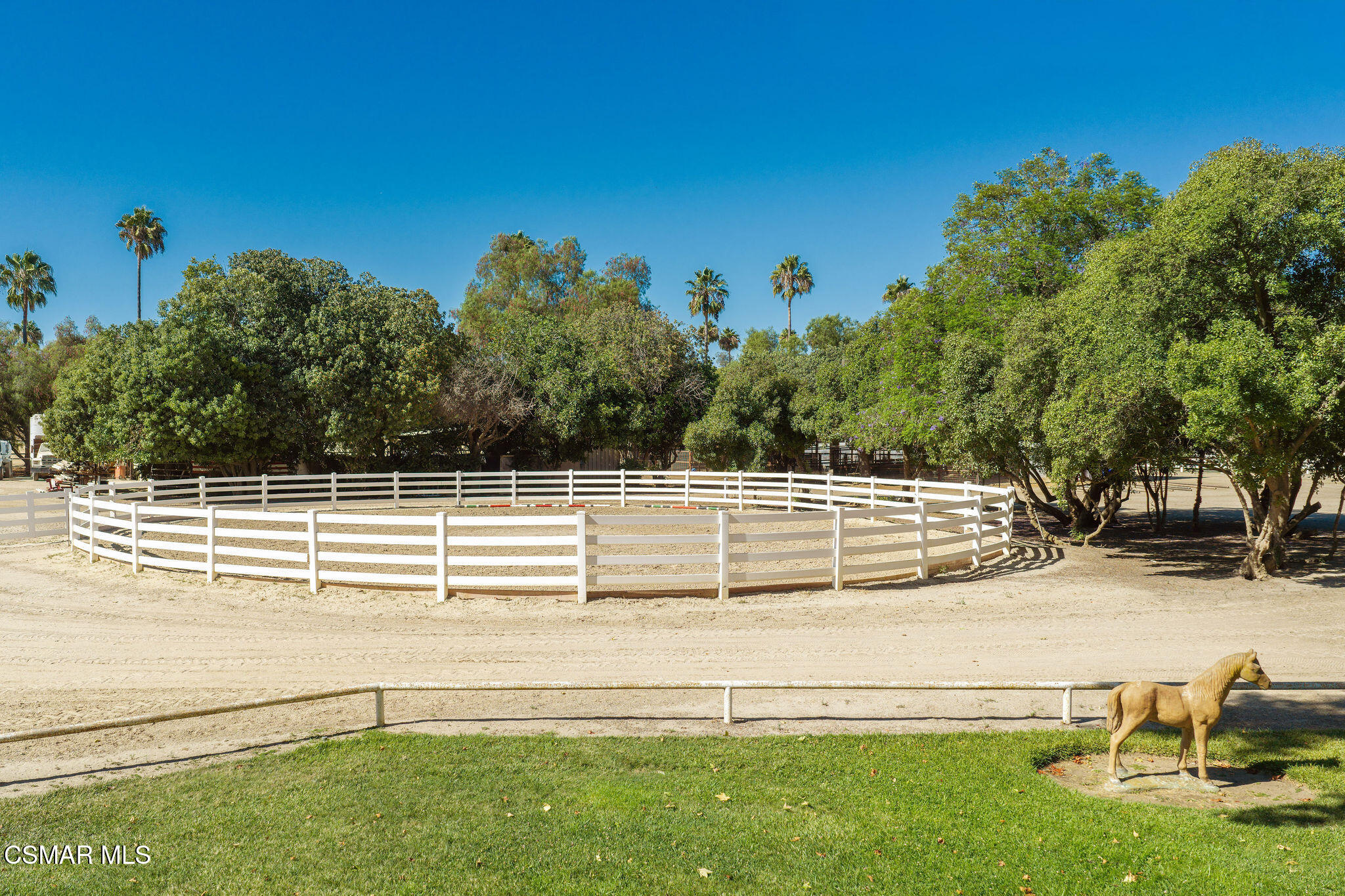 White-fenced circular riding arena beneath mature trees, with a horse figure beside the lawn.
