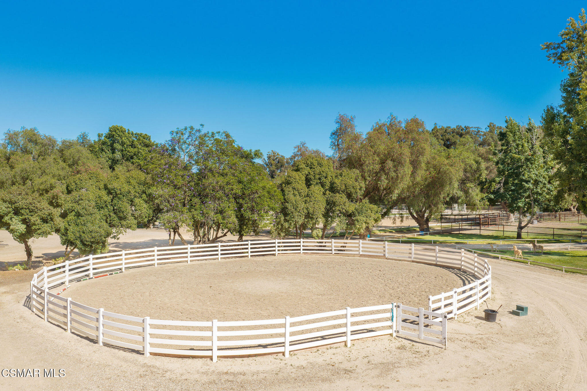 Circular sand riding arena with white fencing, trees, and horses in nearby paddocks.