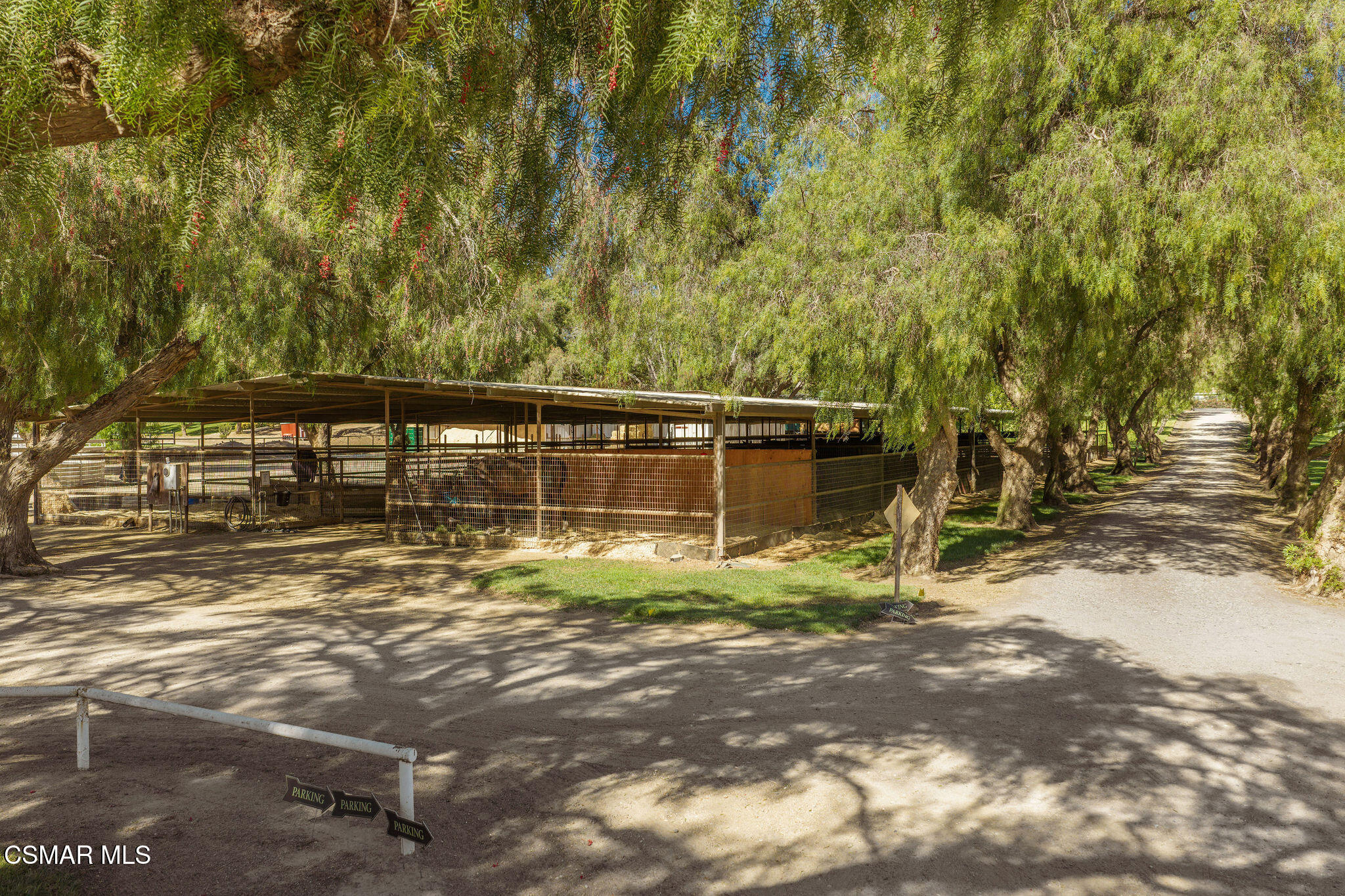 Ranch stable with fenced stalls beside a shaded, tree-lined dirt driveway.