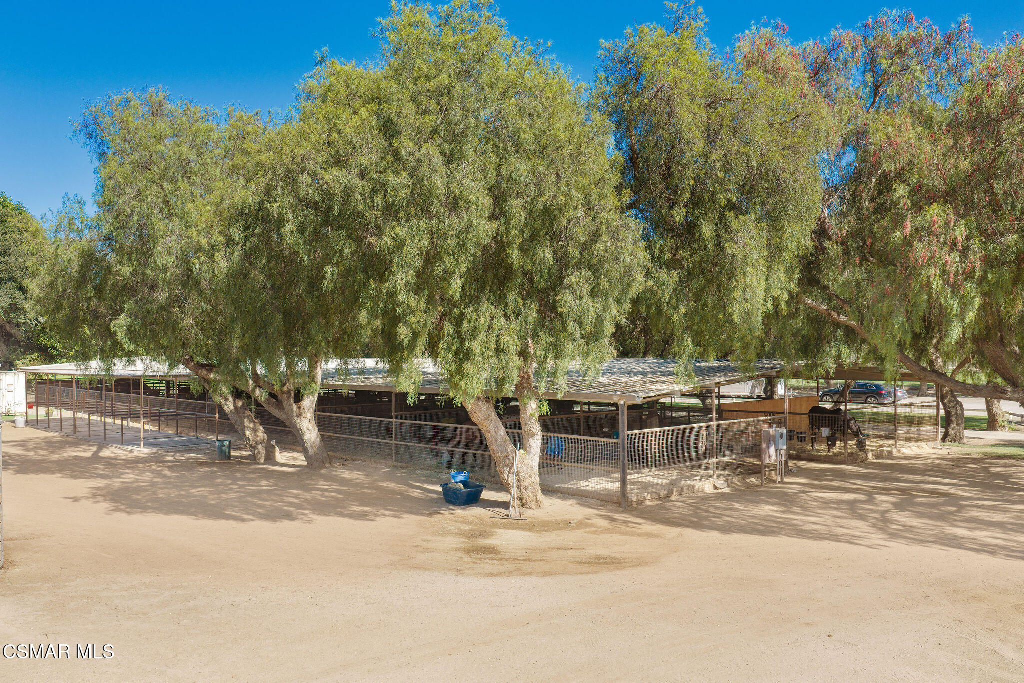 Covered fenced stable beneath large shade trees, with a sandy yard and blue water tub.