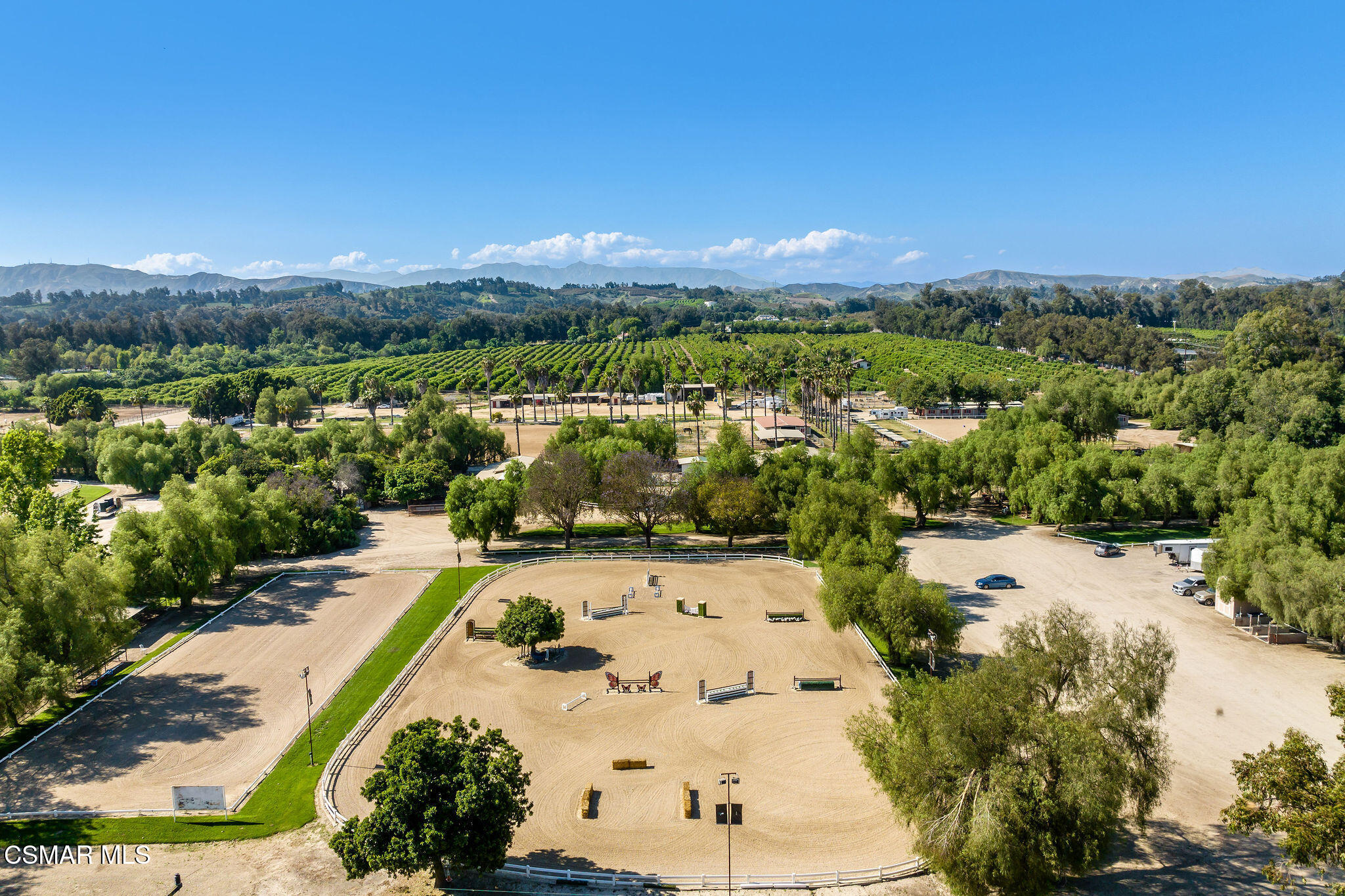Aerial view of an equestrian property with multiple sand arenas, palm rows, and distant mountains.