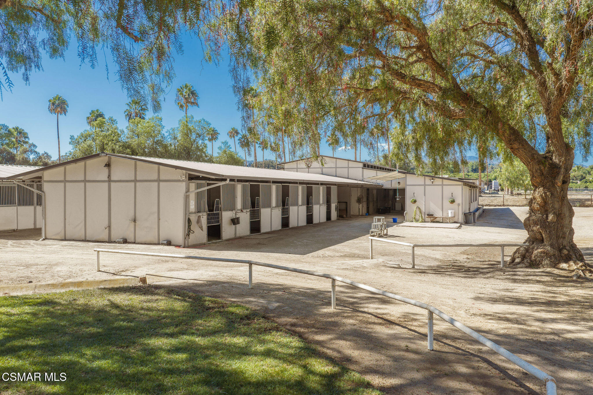 Equestrian stable with multiple stalls beneath a large shade tree and palm trees.