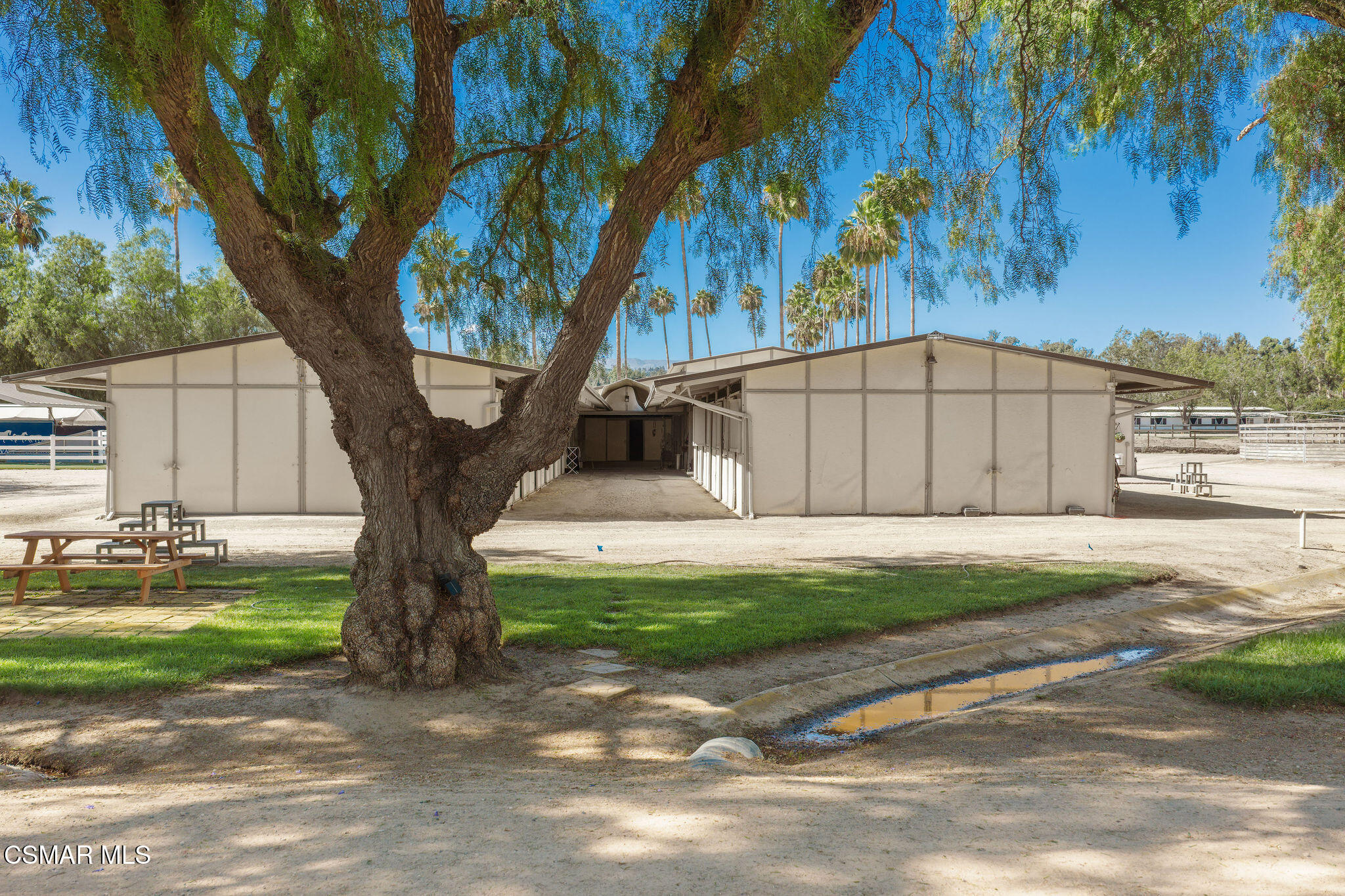 Stable with an open central passage behind a large shade tree and picnic tables.