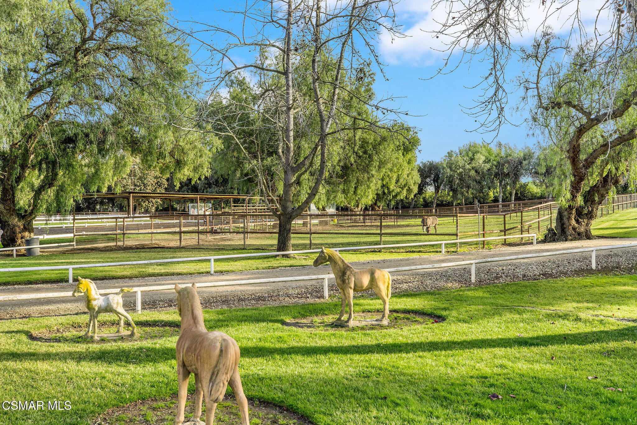 Equestrian grounds with horses in fenced grassy paddocks and mature trees.