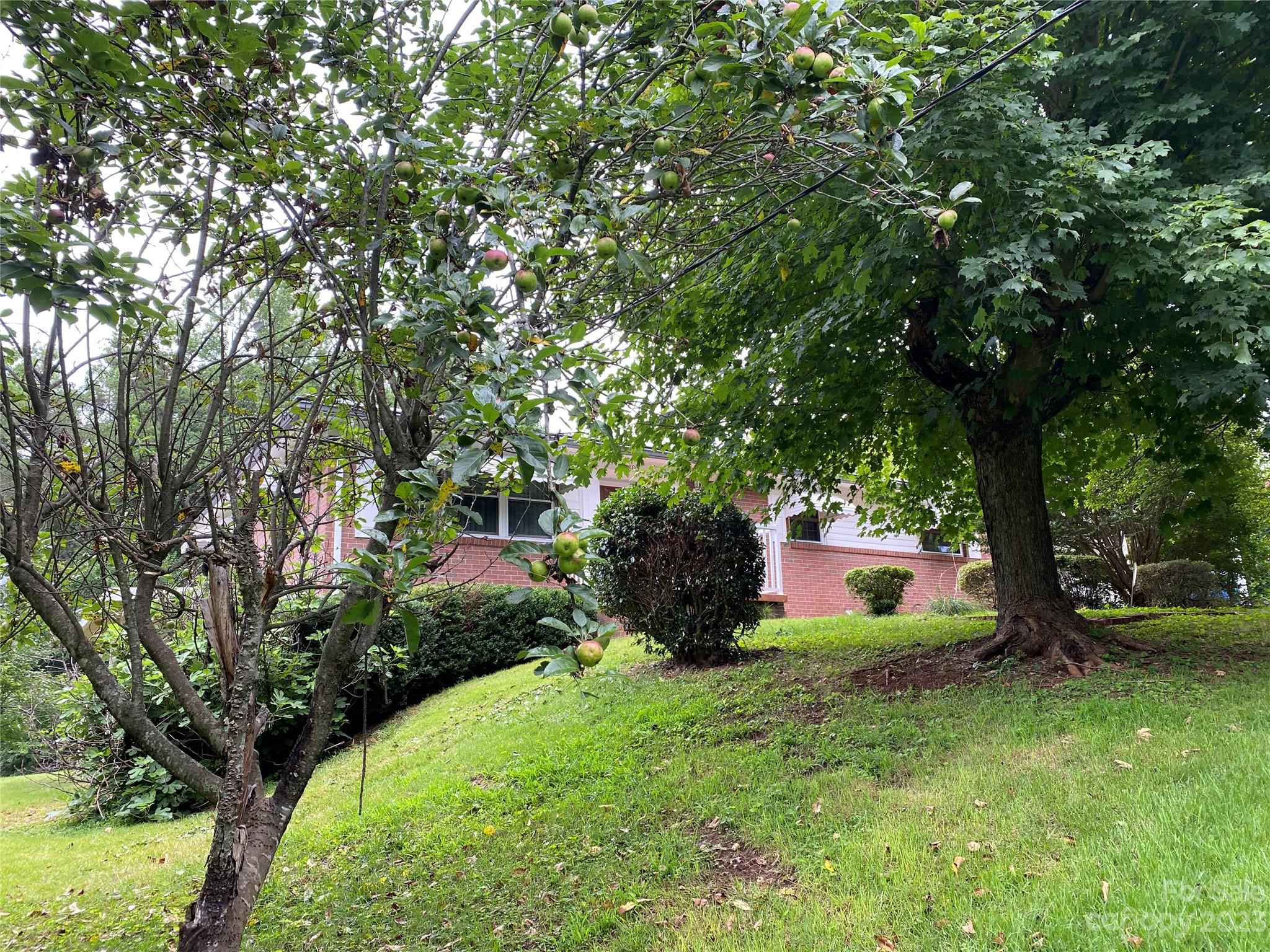 800 Maria Avenue