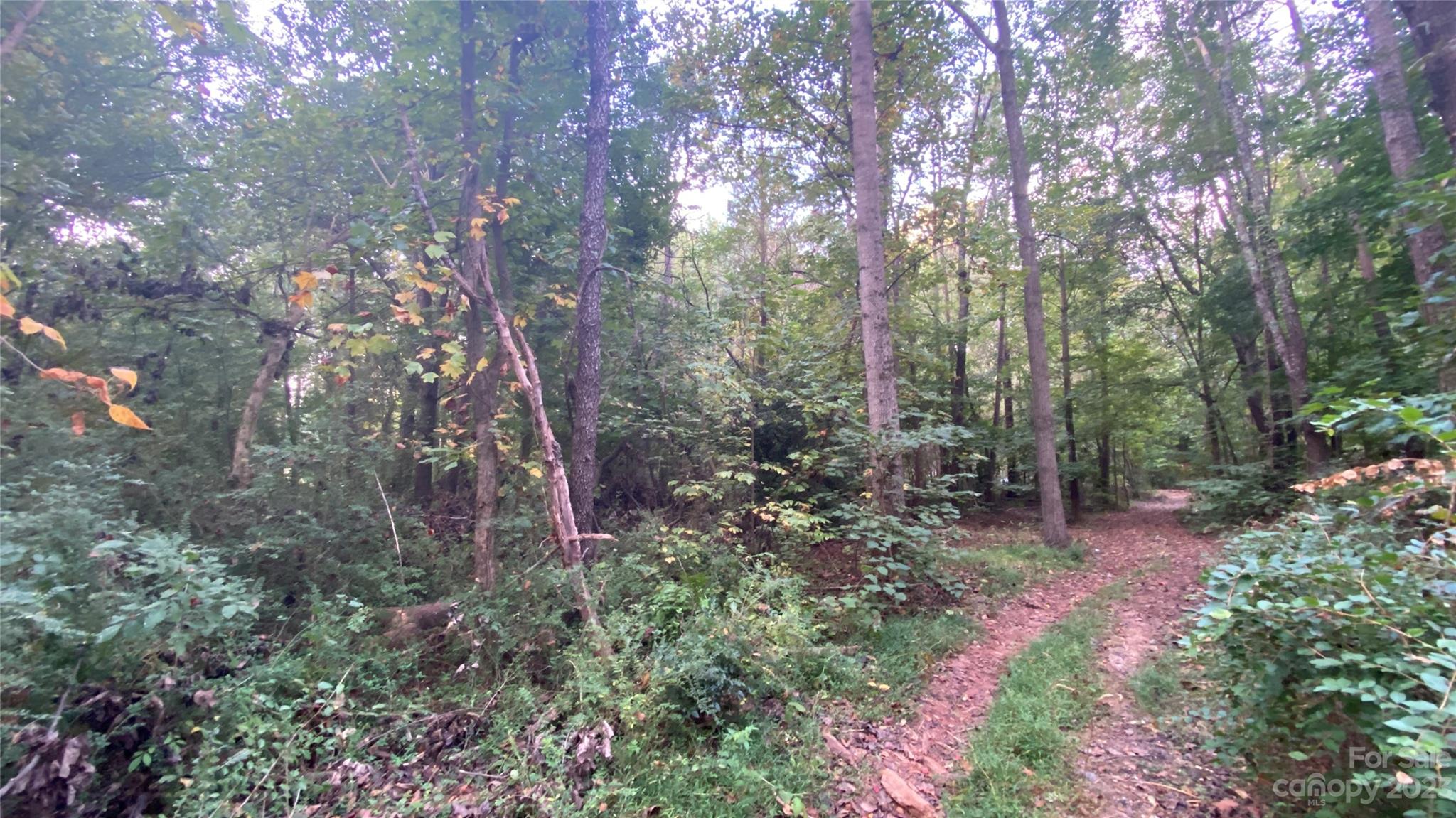 65 Cherry Lane