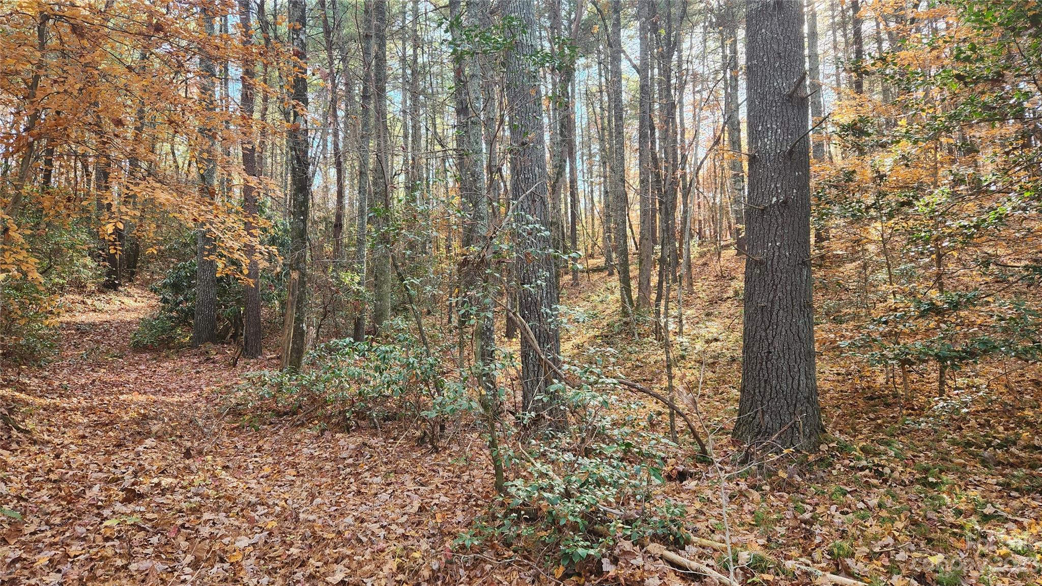 0 Crescent Woods Road