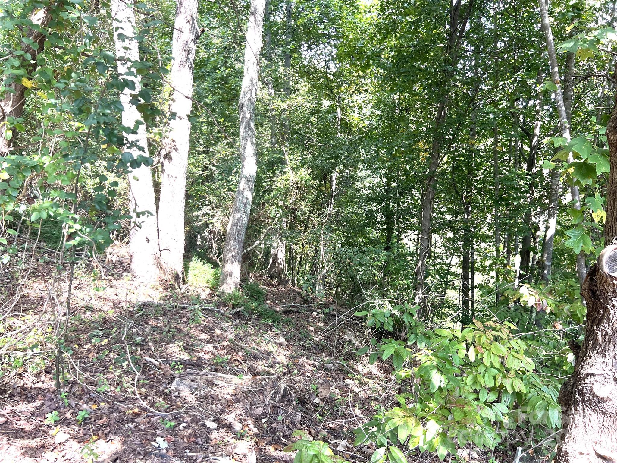 5031 Nunley Knolls
