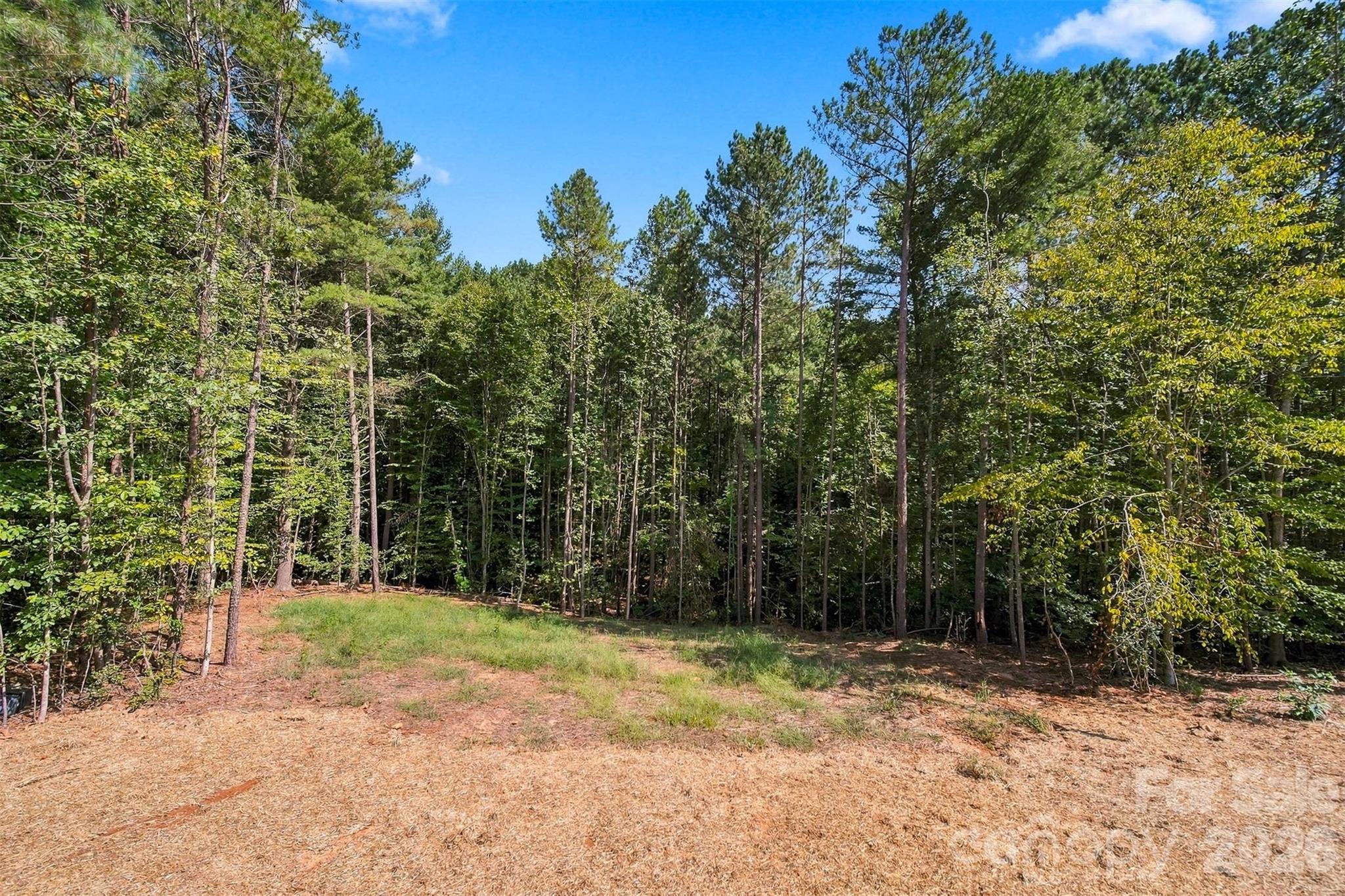 5110 Hanging Rock Court