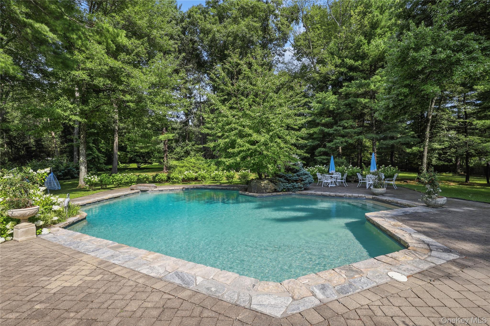 54 W Patent Road