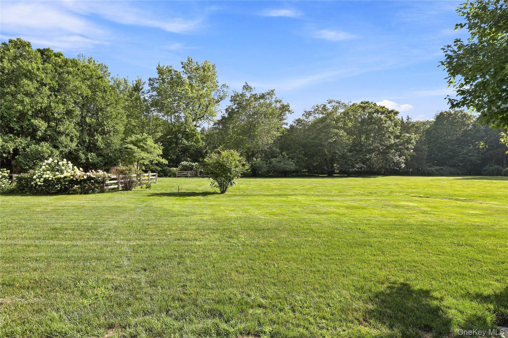 81 Springhurst Road