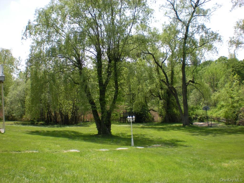 6 Dickson Lane