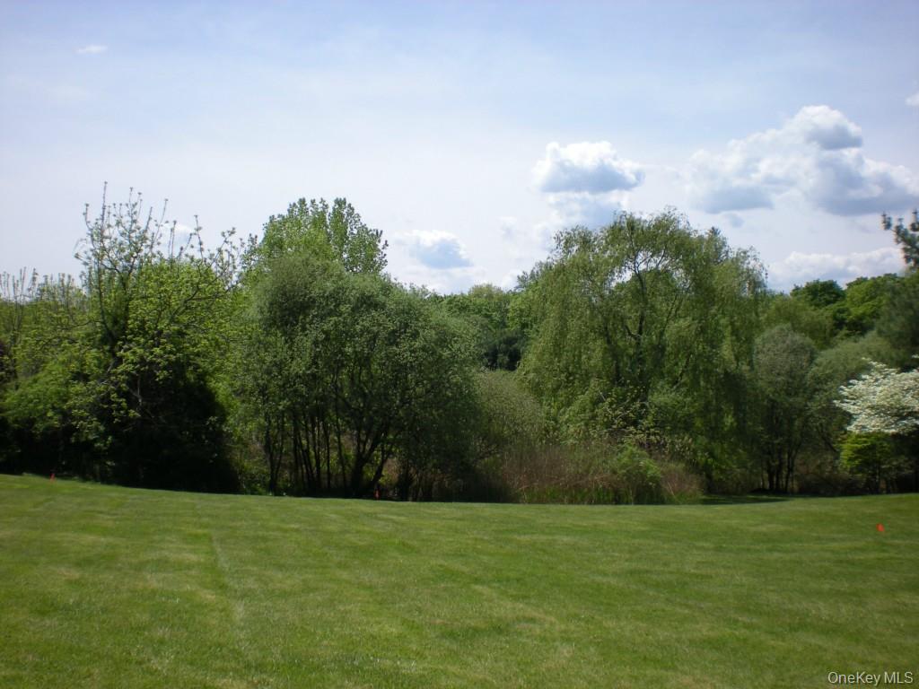 6 Dickson Lane