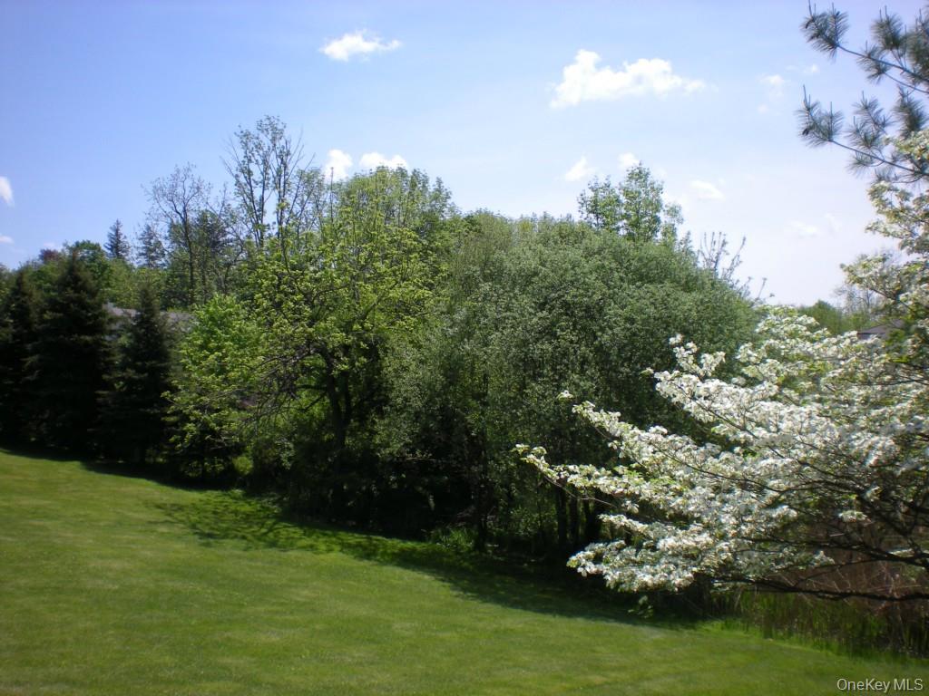 6 Dickson Lane