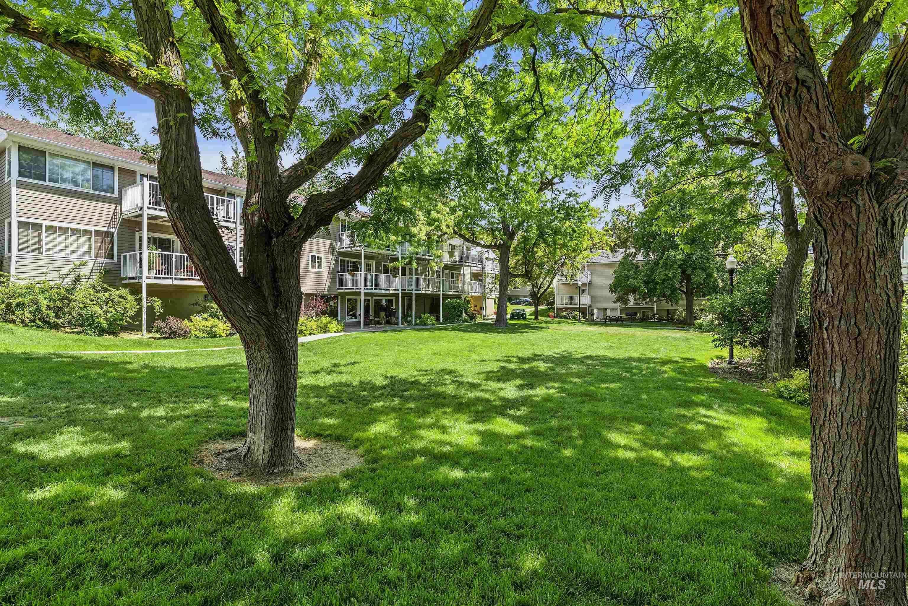 213 Village Lane
