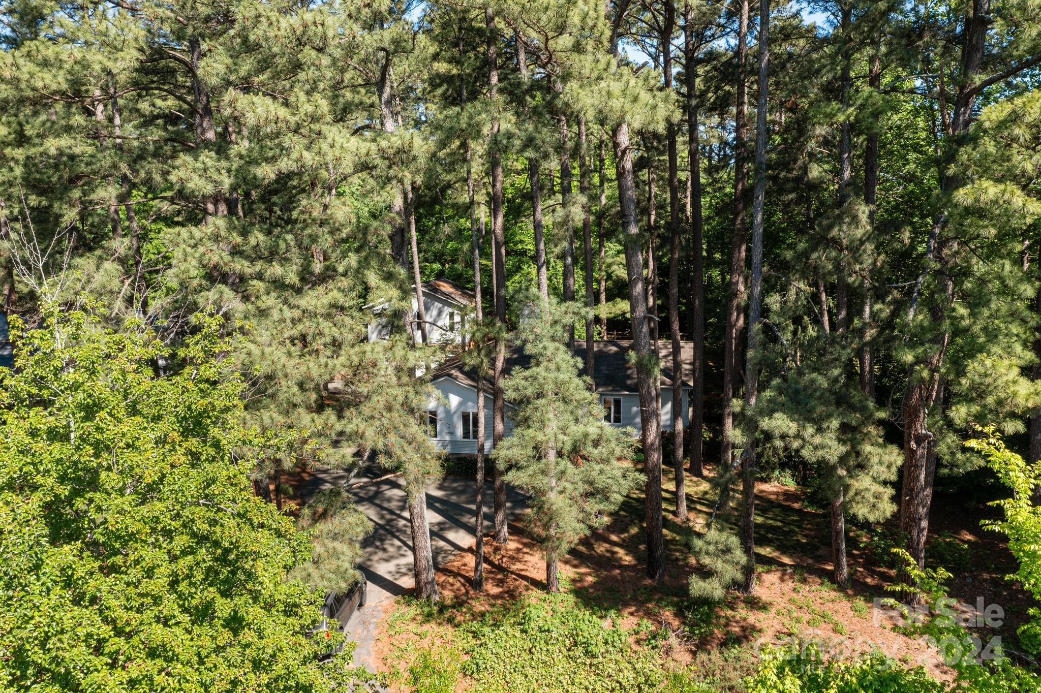 11050 Sudbury Road