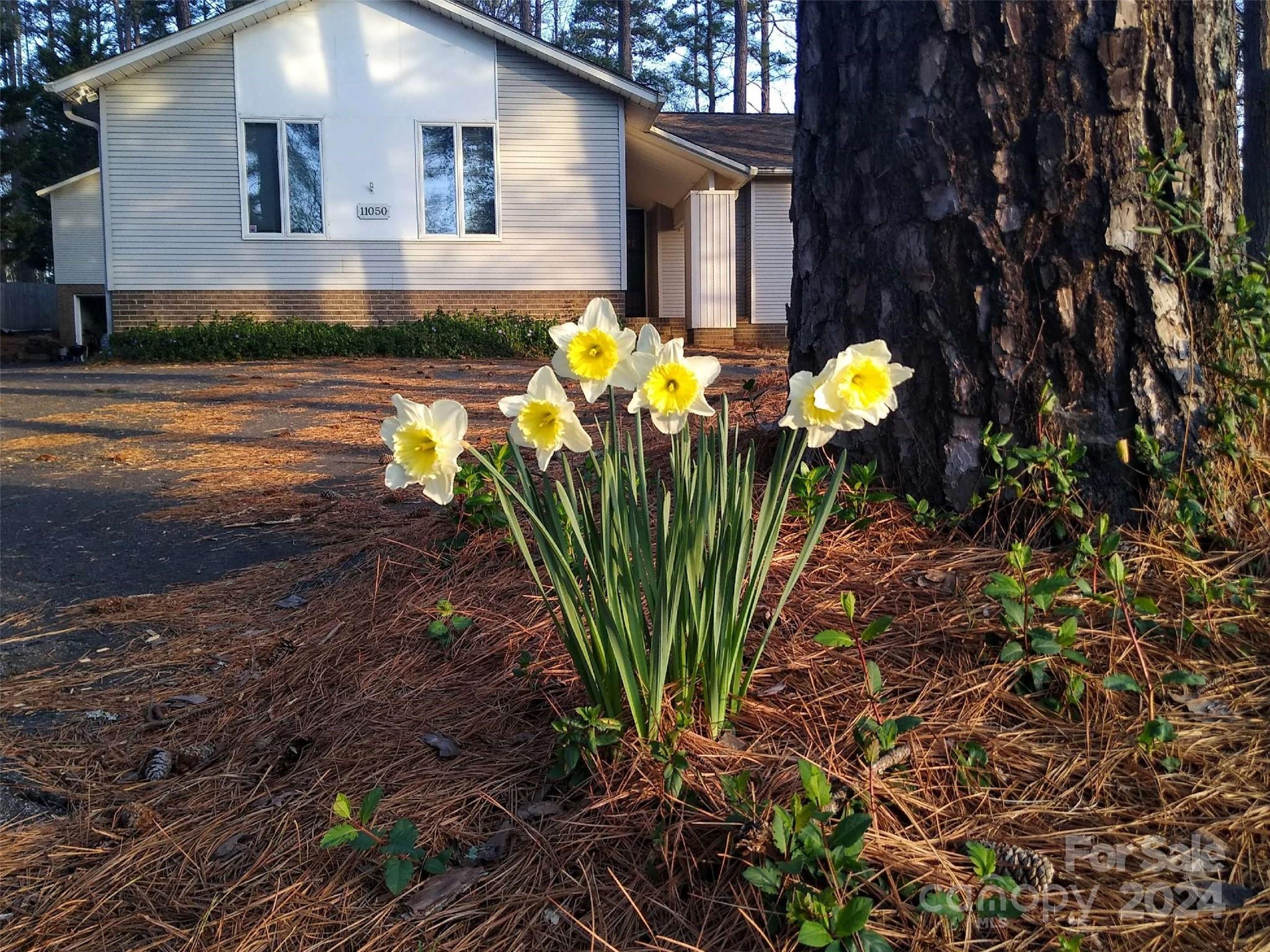 11050 Sudbury Road