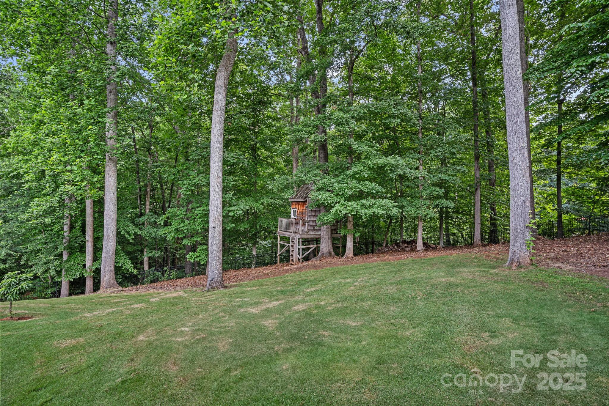 109 Walking Horse Trail