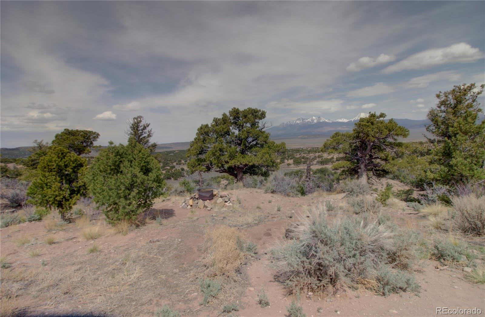 3616 Schieffelin Road