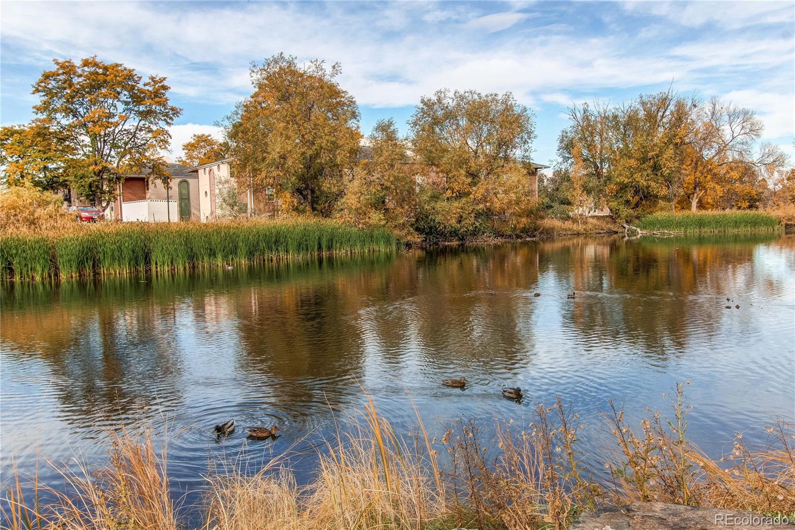 12125 Bannock Street Unit: E