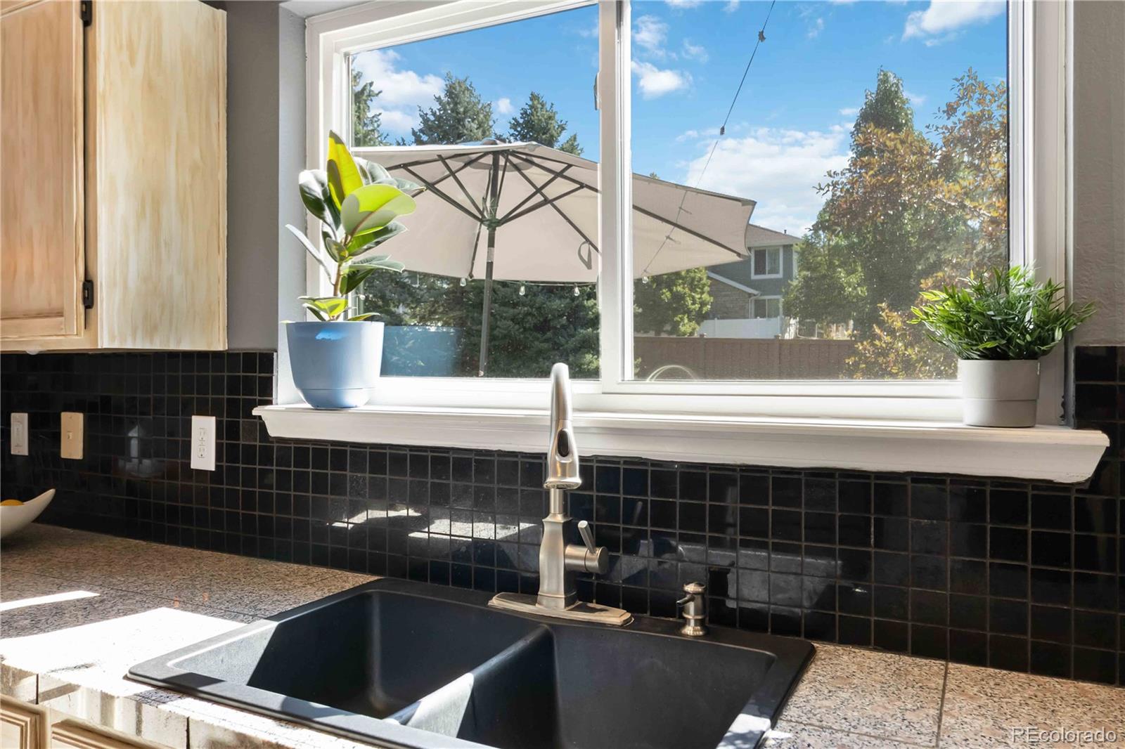 301 English Sparrow Drive