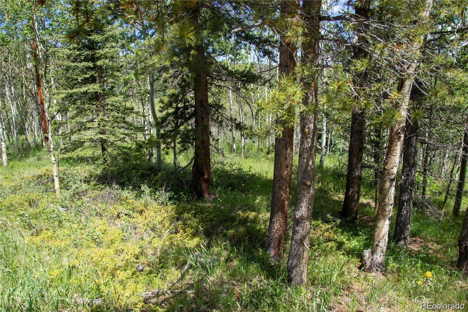 13 S Dory Lakes Drive