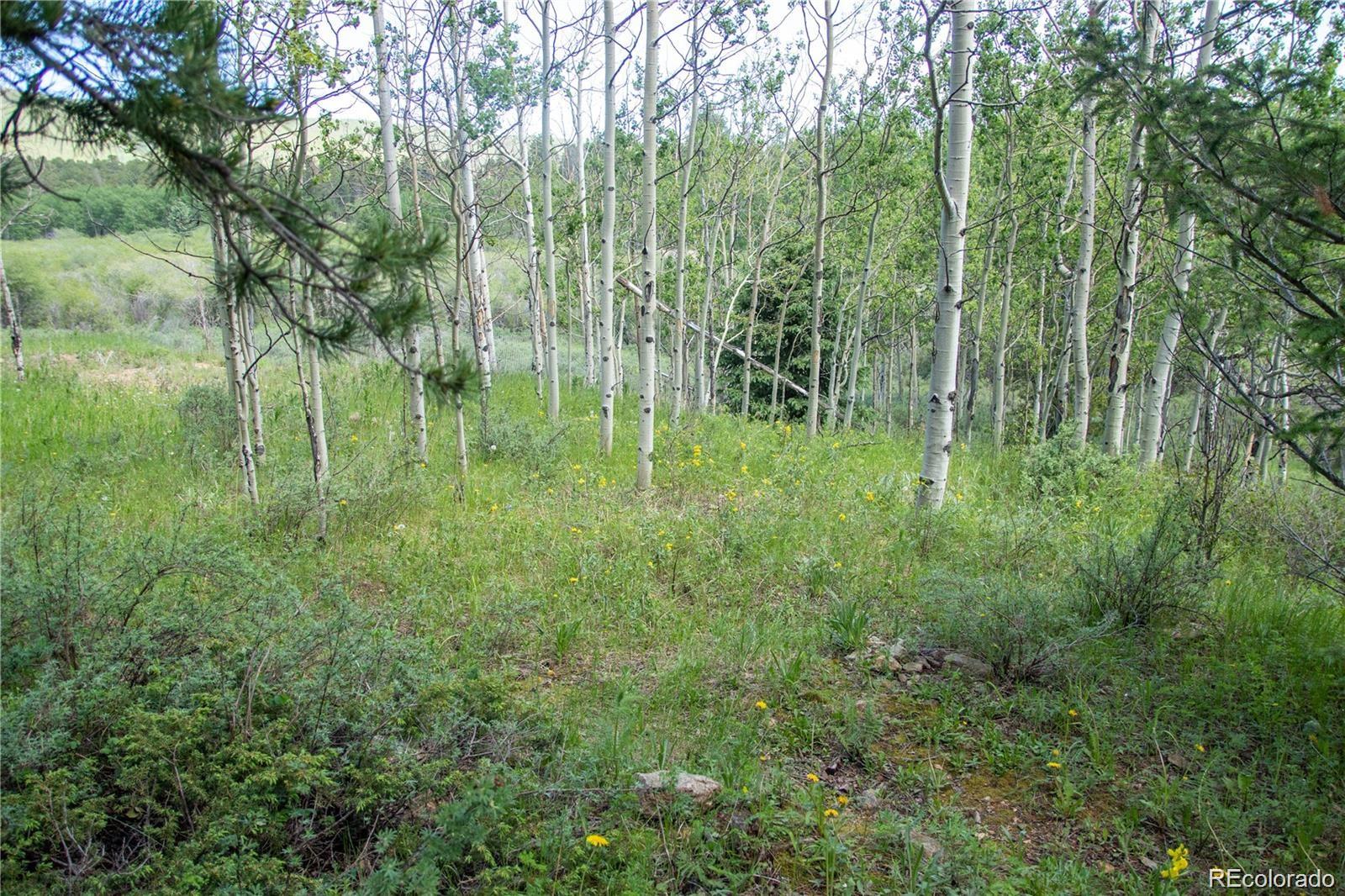 13 S Dory Lakes Drive