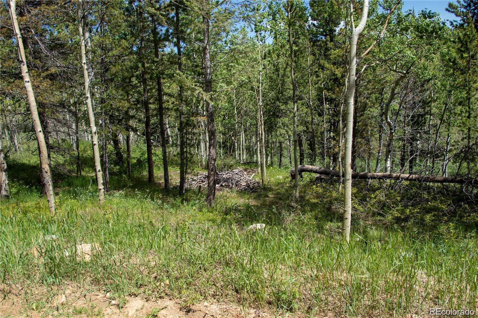 13 S Dory Lakes Drive