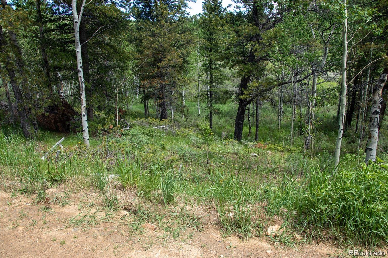 13 S Dory Lakes Drive