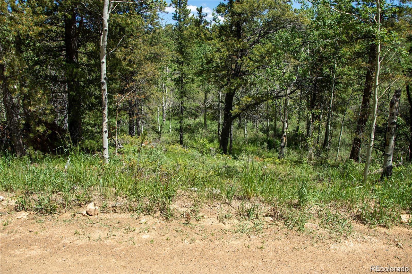 13 S Dory Lakes Drive