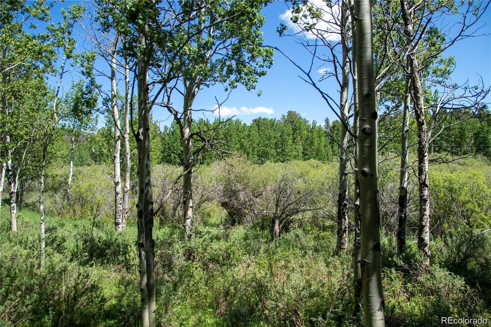 13 S Dory Lakes Drive