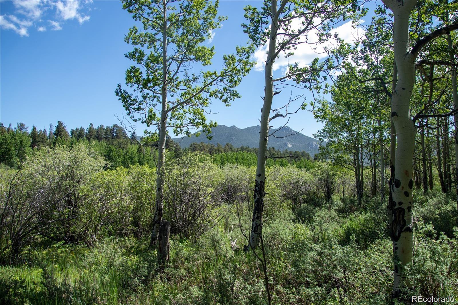 13 S Dory Lakes Drive