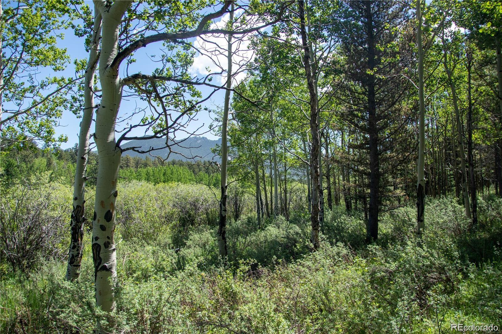 13 S Dory Lakes Drive