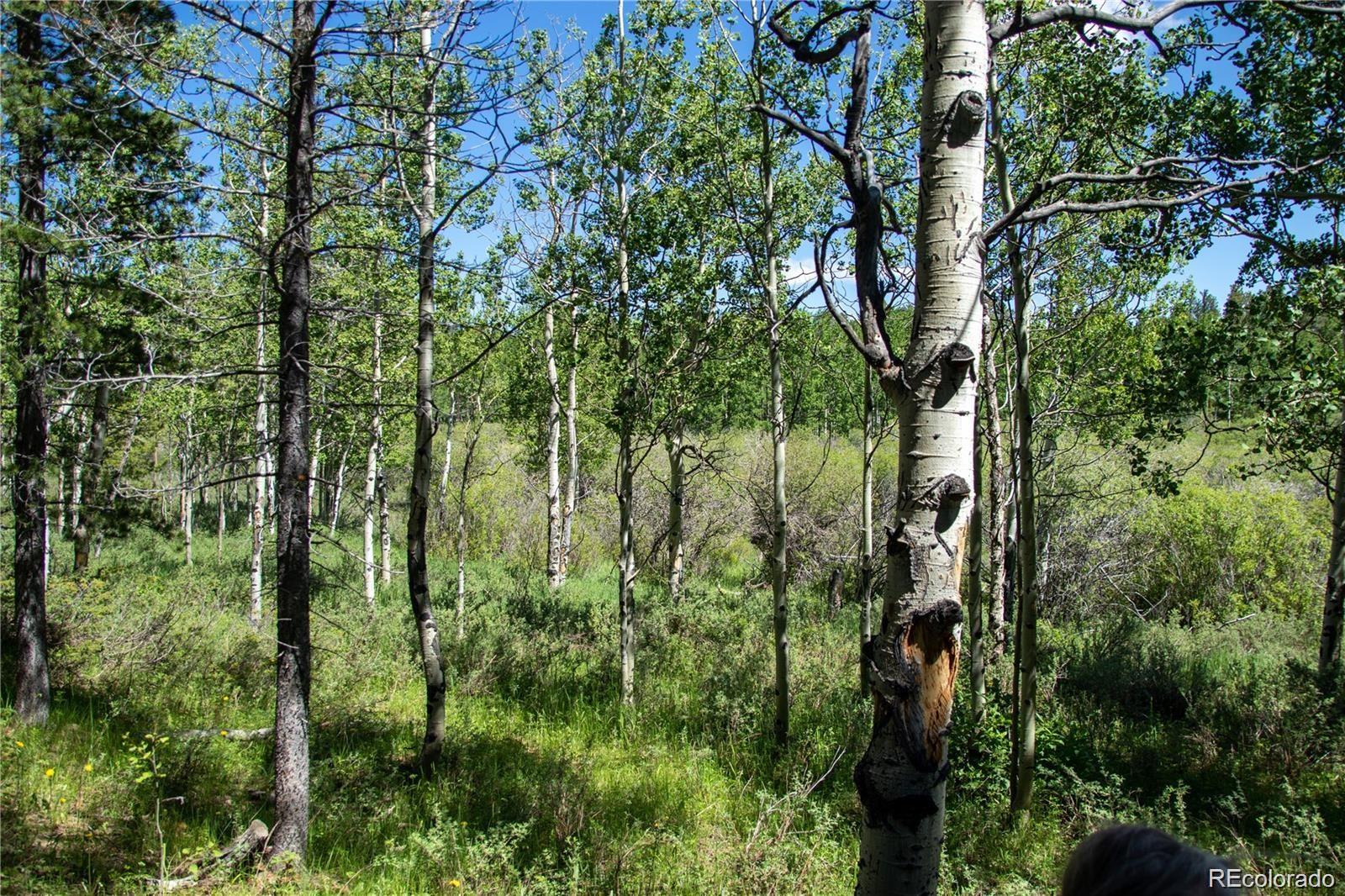 13 S Dory Lakes Drive