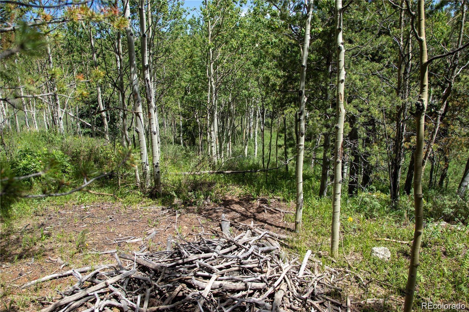 13 S Dory Lakes Drive