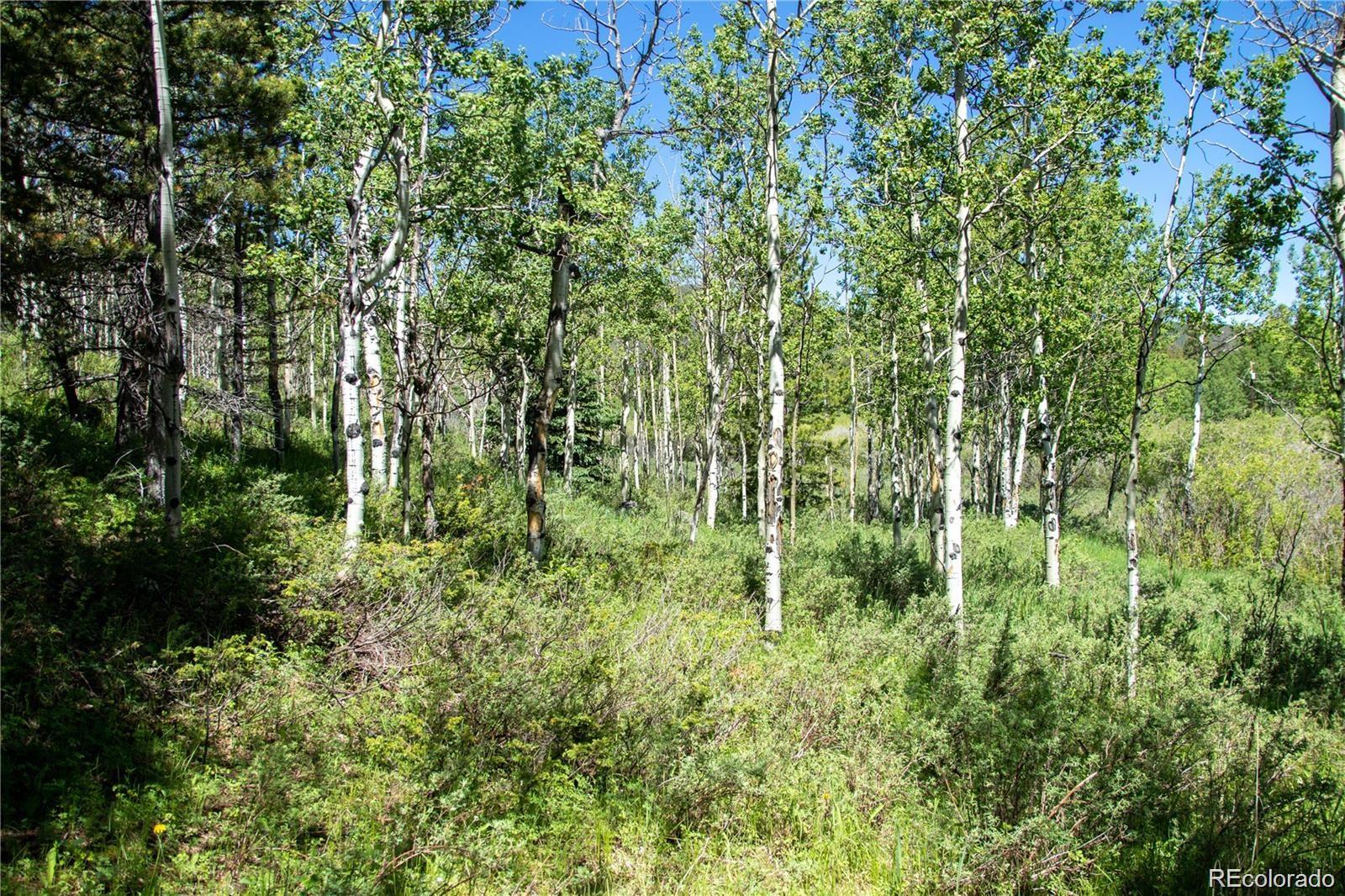 13 S Dory Lakes Drive