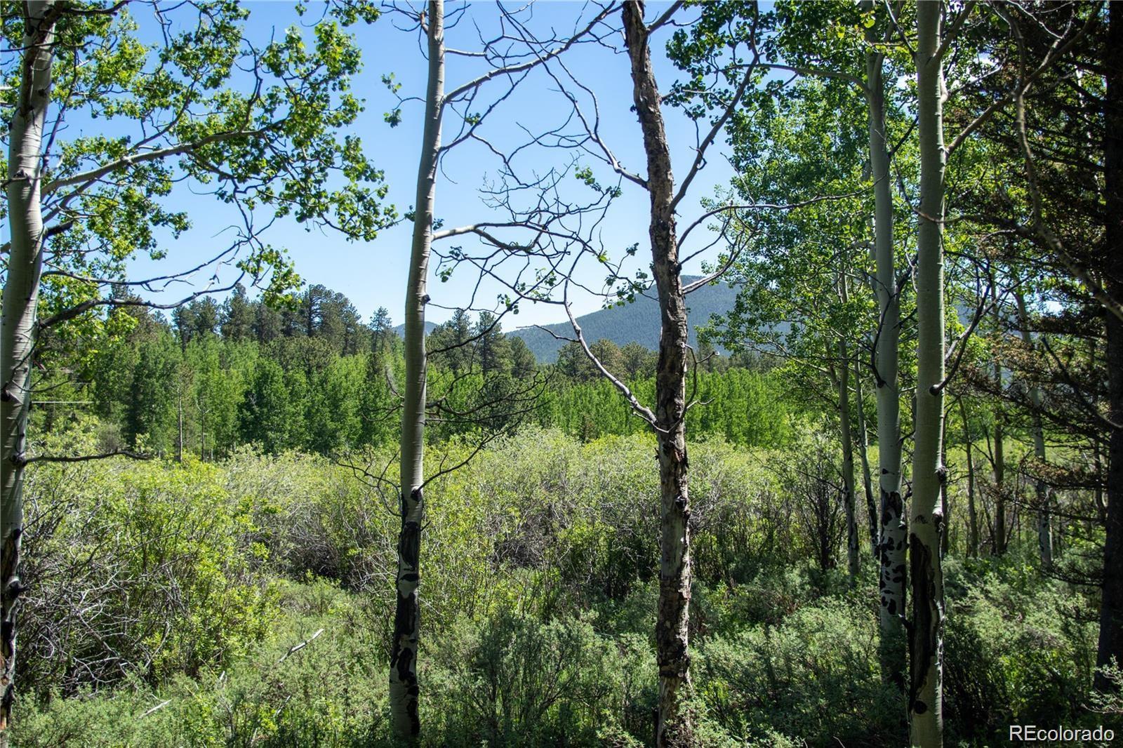 13 S Dory Lakes Drive