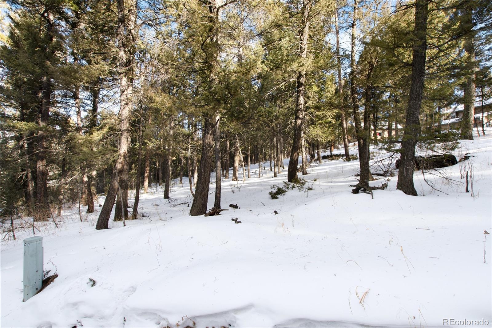 12074 Evergreen Road