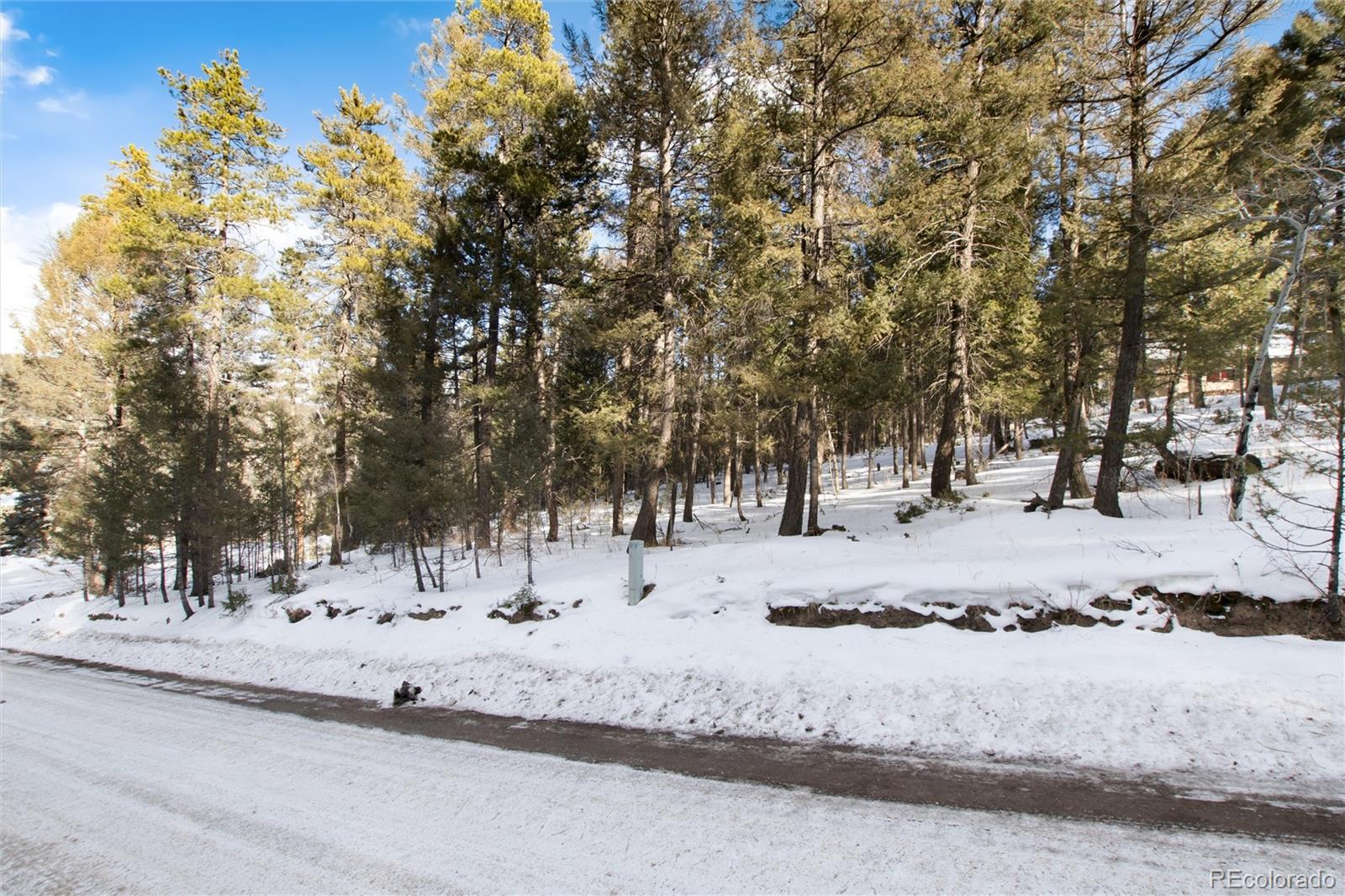 12074 Evergreen Road