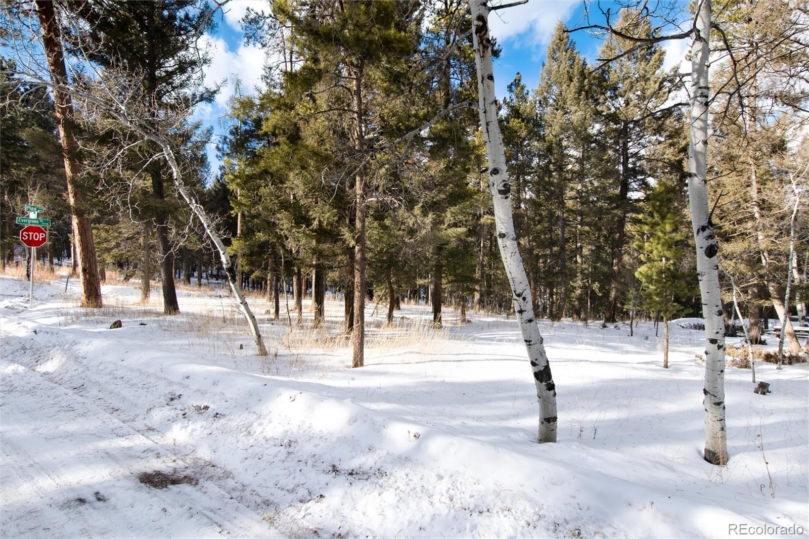 12074 Evergreen Road