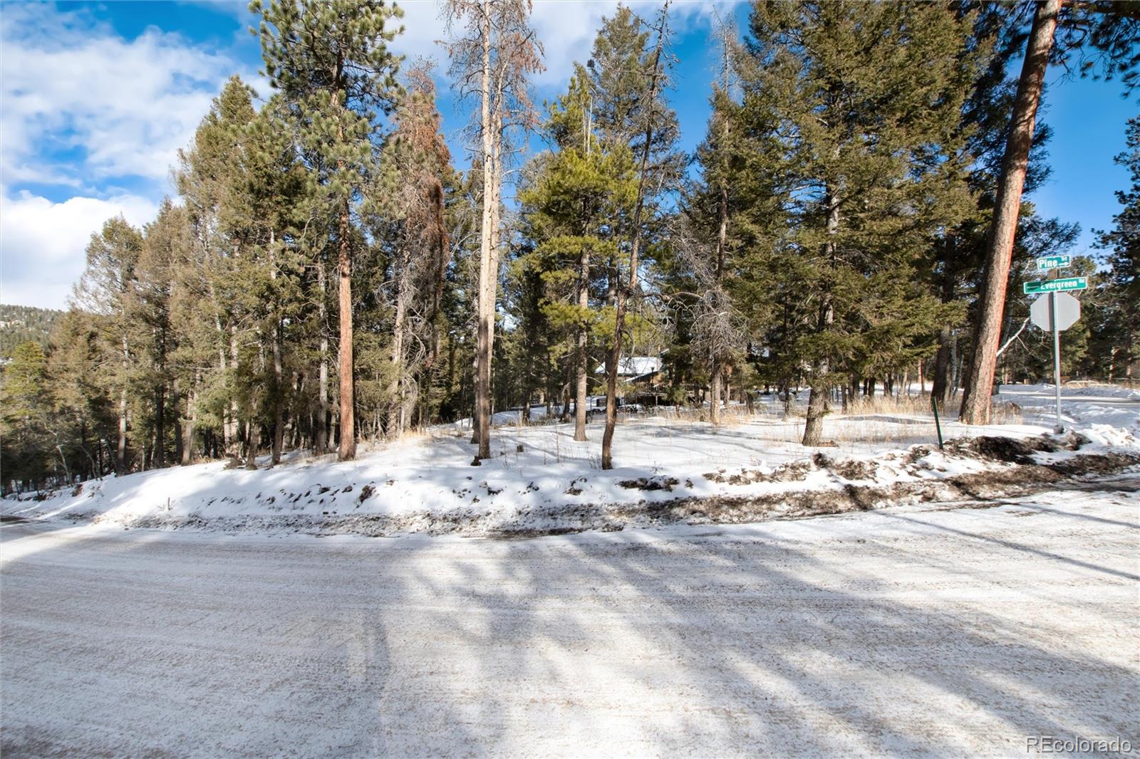 12074 Evergreen Road