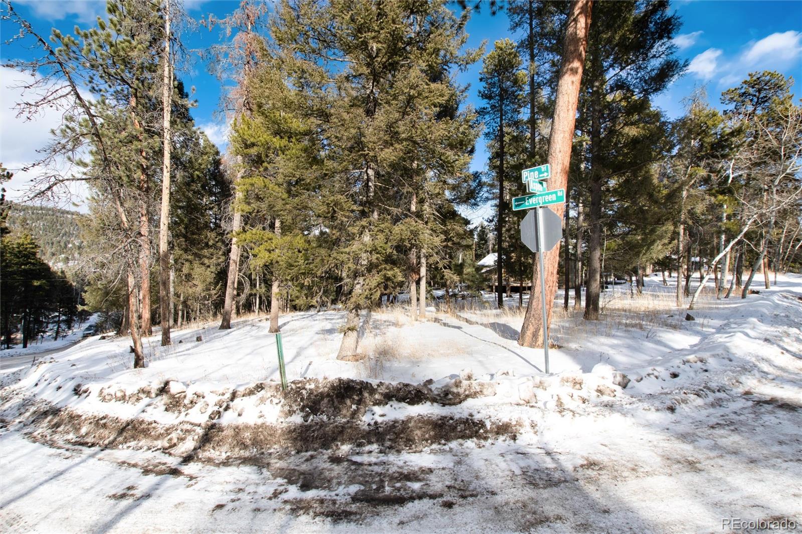 12074 Evergreen Road