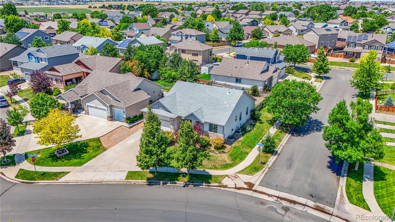 1697 Buckskin Avenue