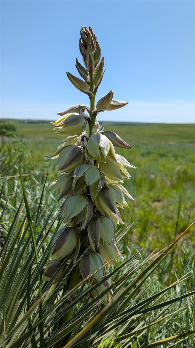 Parcel C W County Road 105