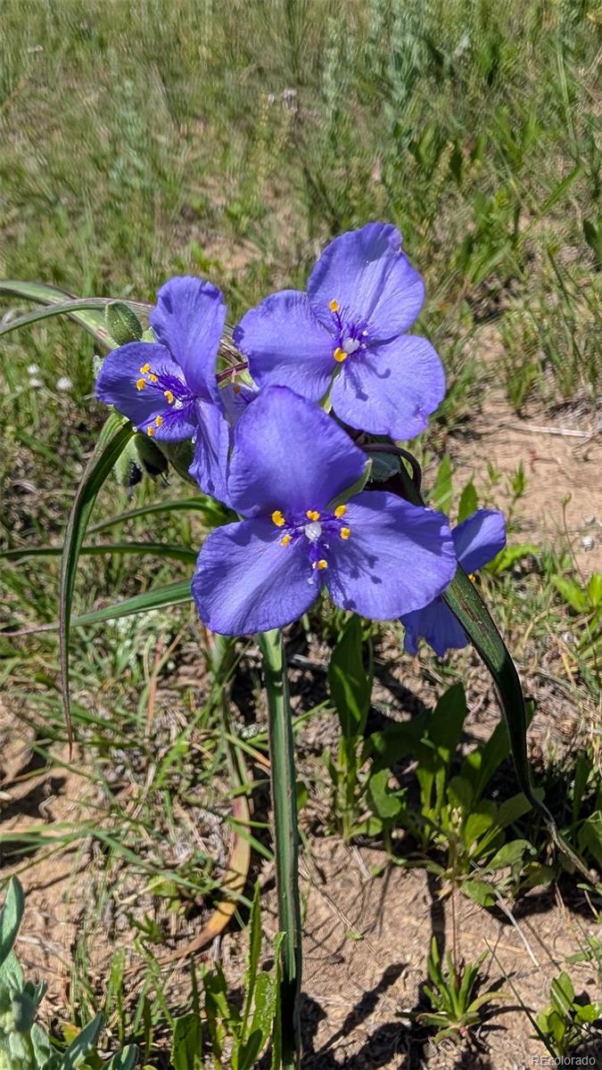 Parcel C W County Road 105