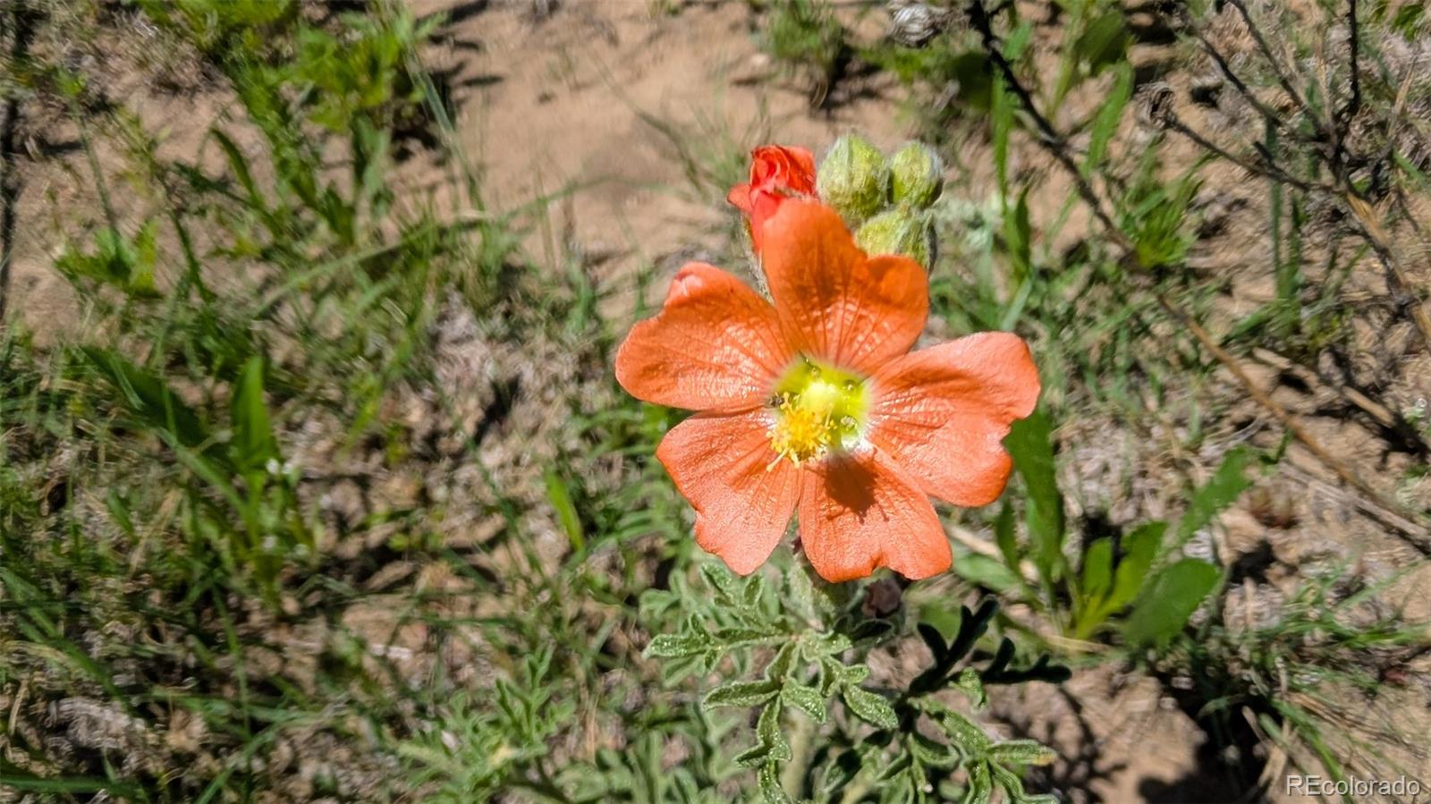 Parcel C W County Road 105