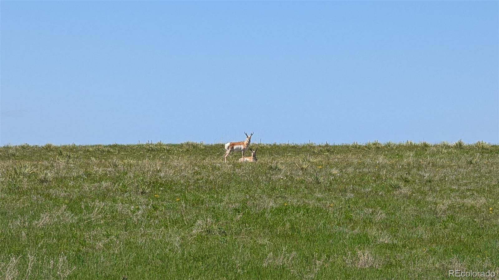 Parcel C W County Road 105