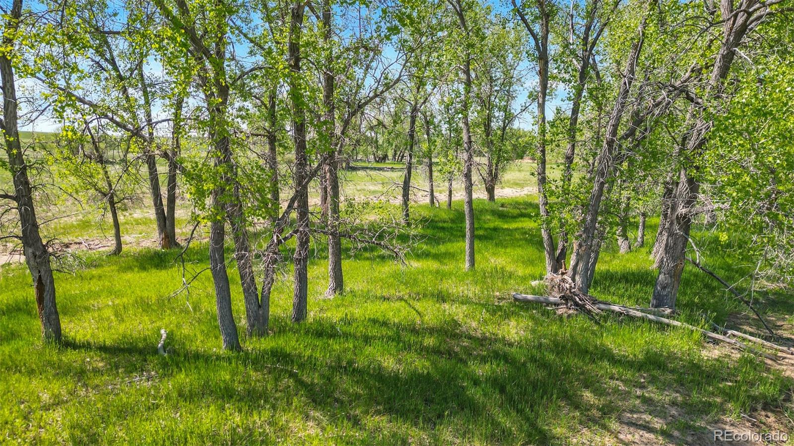 Parcel C W County Road 105