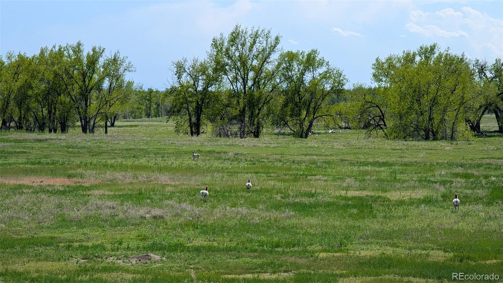 Parcel C W County Road 105