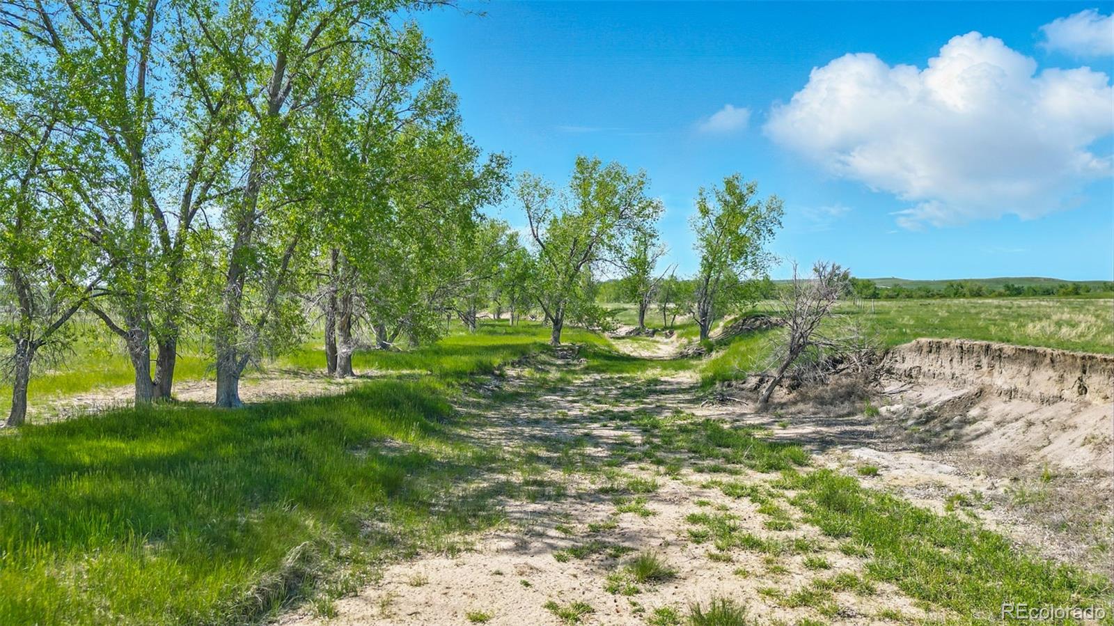 Parcel C W County Road 105